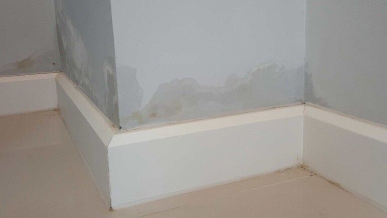 An example of rising damp on an internal wall. There is a dark or wet patch above to the skirting board.